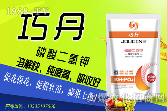 茄子需肥特性有哪些，夏季茄子高產(chǎn)管理技巧！