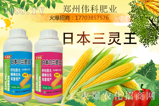 玉米控旺幾次好，玉米控旺時(shí)間及玉米控旺產(chǎn)品選擇！