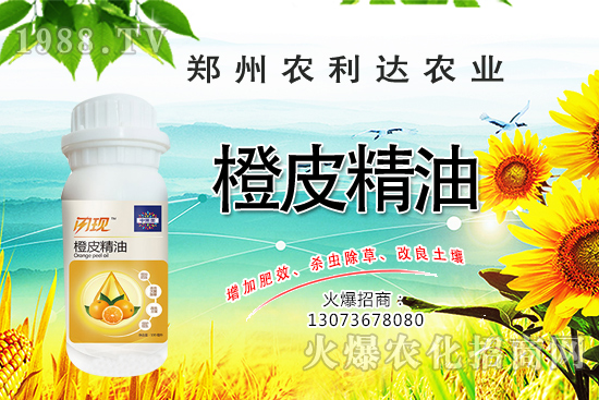 橙皮精油您了解多少？橙皮精油有什么作用？怎么選橙皮精油？