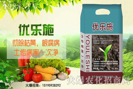 種芹菜空心多，品質差？芹菜空心原因及防治措施！