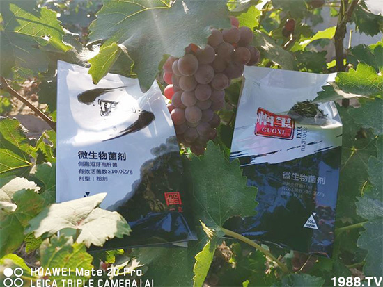 �îa(ch��n)Ʒ����������һ�t���΢������������t���͑��挍(sh��)������