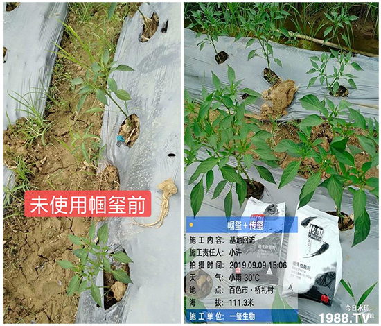 �îa(ch��n)Ʒ����������һ�t���΢������������t���͑��挍(sh��)������