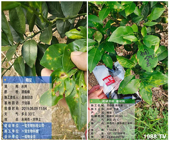 �îa(ch��n)Ʒ����������һ�t���΢������������t���͑��挍(sh��)������