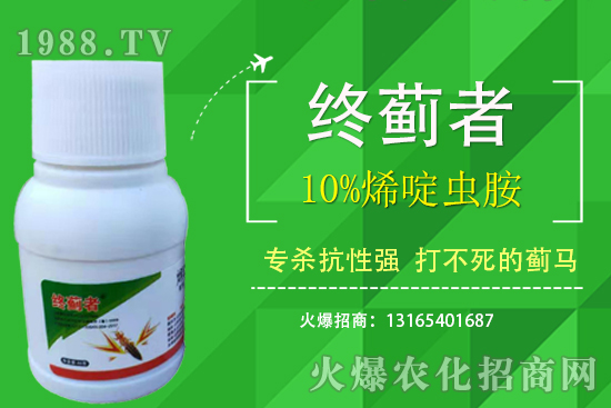 10%烯啶蟲胺能打薊馬嗎？有什么特點？10%烯啶蟲胺使用注意事項！