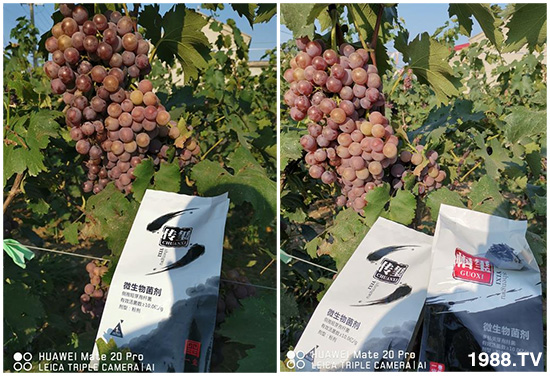 �îa(ch��n)Ʒ����������һ�t���΢������������t���͑��挍(sh��)������