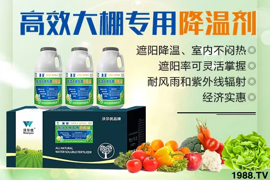 高溫對黃瓜有什么危害？大棚黃瓜降溫措施怎么做？