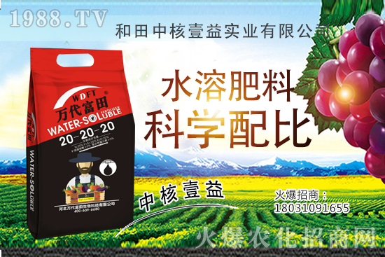 四季海棠多久澆一次水？四季海棠澆水過多怎么挽救？