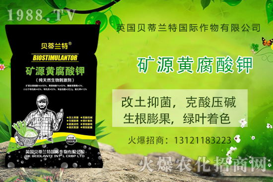 天竺葵怎么養(yǎng)，天竺葵養(yǎng)殖方法和注意事項(xiàng)！