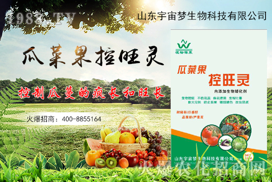 夏季高溫瓜菜果徒長(zhǎng)，怎么解決？瓜菜果控旺產(chǎn)品怎么選？