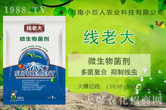 ���Y(ji��)���xզ���������Y(ji��)���x����-�����ϴ󡱶����(f��)�������ƾ��x��