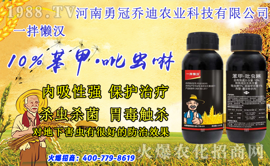 ����(b��o)1