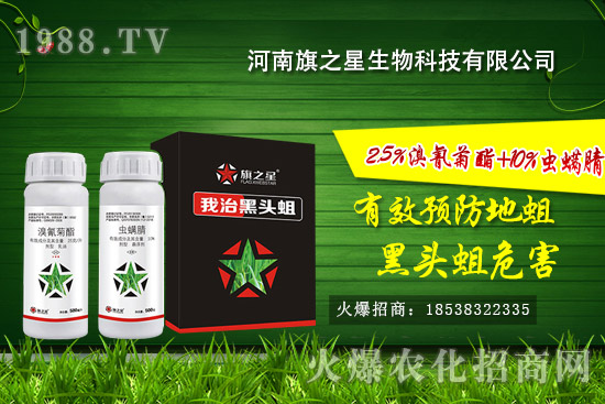 ������֮����ô����������֮�ǚ����a(ch��n)Ʒ����Щ��