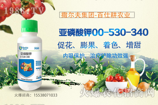 營(yíng)養(yǎng)控梢，預(yù)防潰瘍！亞磷酸鉀真的這么牛嗎？亞磷酸鉀作用原理！