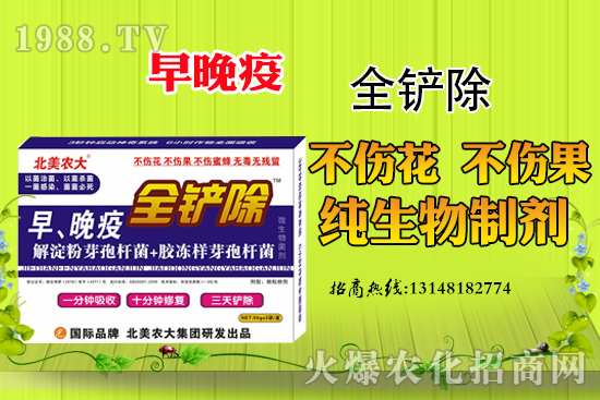 早晚疫危害嚴(yán)重，早晚疫防治措施有哪些？