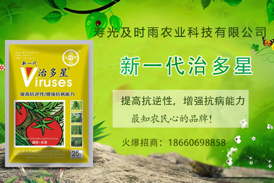 番茄病毒病你知道幾種？怎樣合理防治番茄病毒??？(內(nèi)附防治方法) 