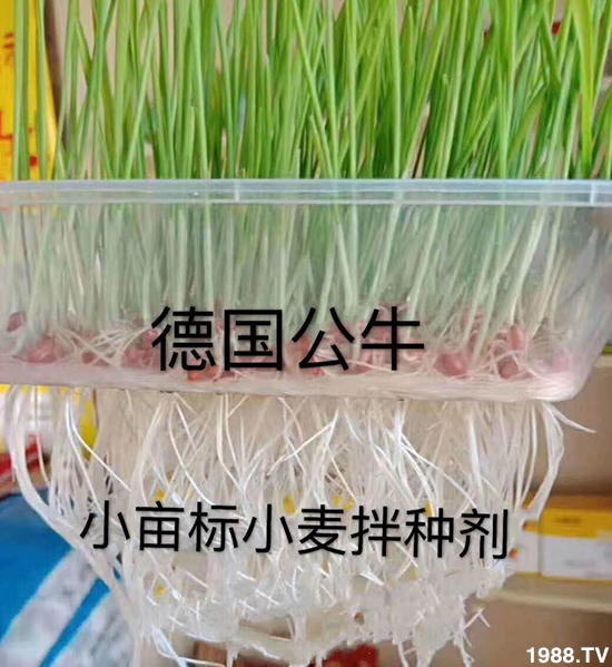 С����N�����a(ch��n)��С����N������x����С����N��Ʒ���x����