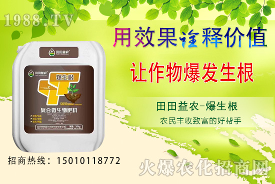 獼猴桃種植前景如何，獼猴桃種植技術要點！