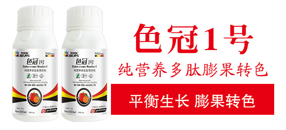 純營(yíng)養(yǎng)多肽膨果轉(zhuǎn)色-色冠1號(hào)-凱瑞斯_03