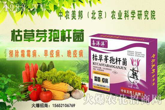 枯草芽孢桿菌治根腐病嗎，防治哪些土傳病害？防治對(duì)象有哪些？