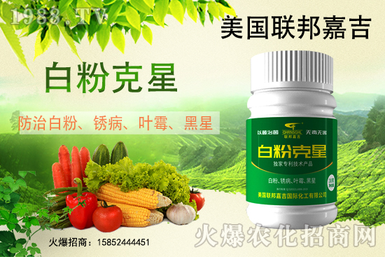 白粉病強(qiáng)勢(shì)來(lái)襲！反復(fù)發(fā)作真的治不好么？作物白粉病劑推薦！