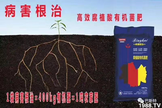     如何讓種植變得更輕松？一個套餐，全面配方，巴斯特大姜營養(yǎng)套餐方案！