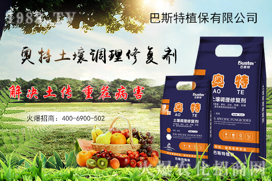     如何讓種植變得更輕松？一個套餐，全面配方，巴斯特大姜營養(yǎng)套餐方案！