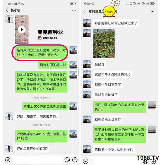     如何讓種植變得更輕松？一個套餐，全面配方，巴斯特大姜營養(yǎng)套餐方案！