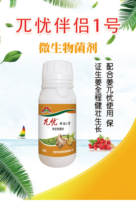 ΢�������-��H1̖-أ�n-������(chu��ng)_01