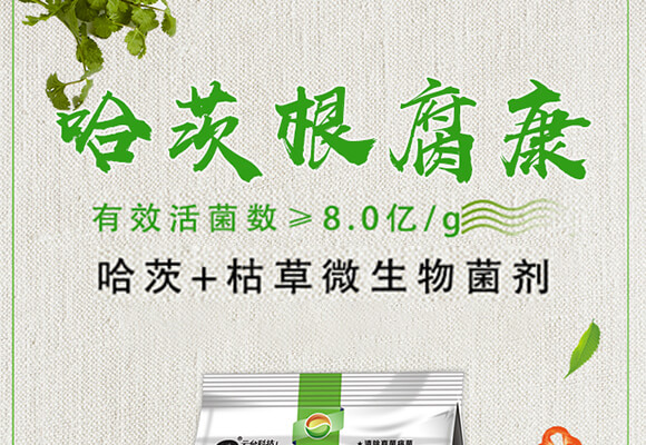 哈茨根腐康-云臺(tái)大化_01