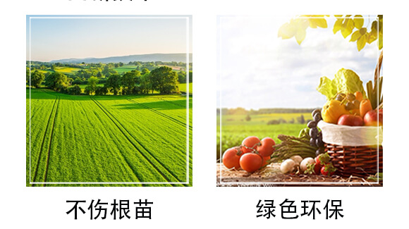 根結(jié)線蟲藥生物殺線劑-超無線-田小超_05