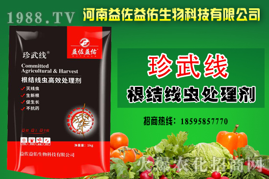 根結(jié)線蟲發(fā)生嚴(yán)重，防不住就用“根結(jié)線蟲處理劑”滅線蟲、生新根！