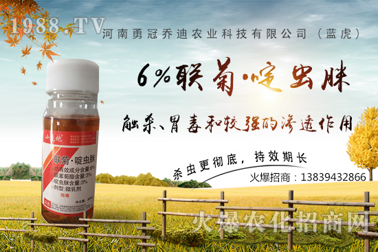 番茄白粉虱大爆發(fā)，防治難？“6%聯(lián)菊·啶蟲脒”卵蟲通殺，藥性強！