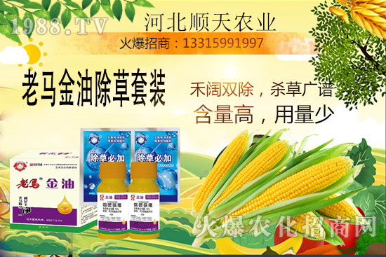 如何提高玉米苗后除草效率？玉米除草關(guān)鍵點(diǎn)大匯總！