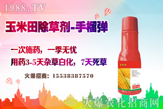 ������������v�������׳��݄��@�Ӵ򣬲��L�s�ݲ�������