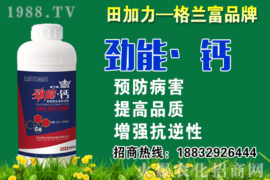 2020秋蘿卜什么時候種？秋蘿卜種植要注意哪些問題？