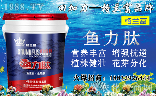 ����(sh��)��(du��)�B(y��ng)���������c(di��n)����Щ������(sh��)ʩ���`�^(q��)�����_ʩ�ʷ�����