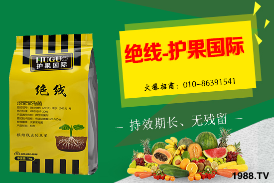 棉花為什么要打頂呢？有哪些好處？棉花打頂田間管理建議！