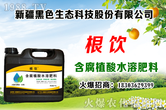 立秋后露地大白菜播種時(shí)間，管理需注意什么問題？