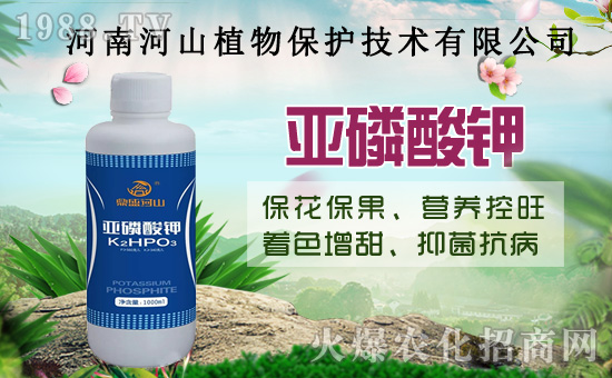 С�����߼Ӵa�������u(m��i)�Z��2020��8��14��С���r(ji��)��������