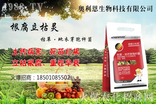 黃花菜什么季節(jié)栽培，黃花菜種植方法介紹！