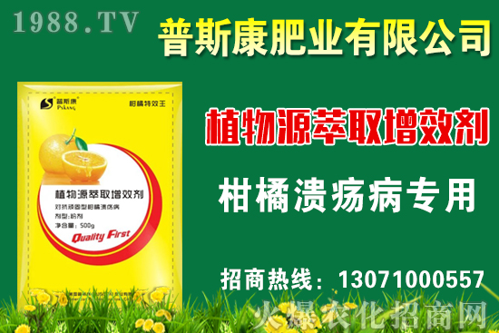 茭白無公害栽培技術要點，茭白采收標準及方法！