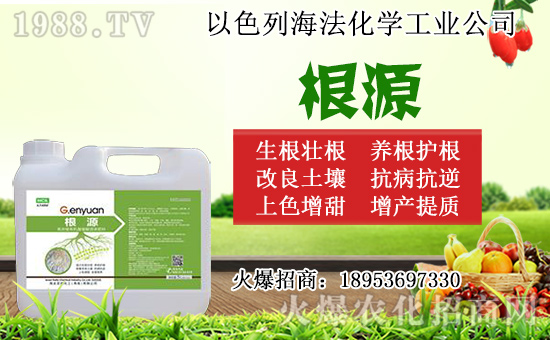 �o������ôǤ�����o����Ǥ��r�g��Ǥ�己ֳ������