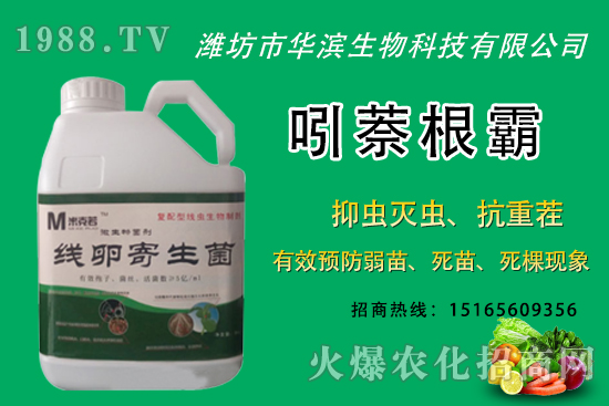 �o�����NֲʲôƷ�N�^�ã��o����Ƥ���ԳԆ����Nֲǰ��������