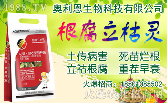 ���[���ʩ�������[�Nֲ���������N�r�g��