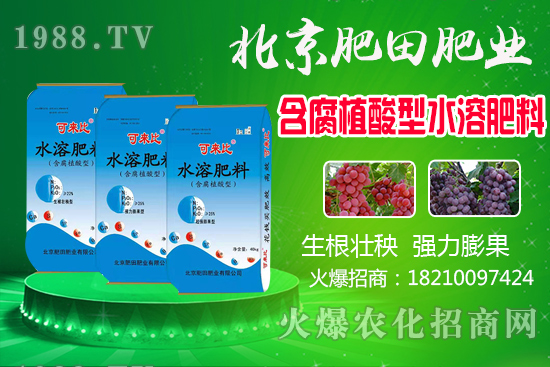 蘆柑產(chǎn)地在哪？蘆柑什么時候上市？如何挑選蘆柑？