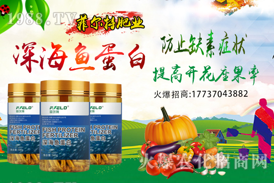 青梗菜種植時(shí)間，青梗菜栽培及管理關(guān)鍵要點(diǎn)！