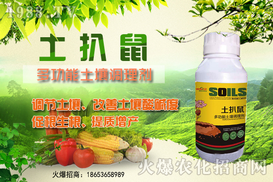 ������ʲô�r��Nֲ����������ô�x���Nֲ�����ô����