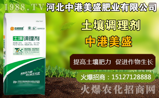 中藥太子參什么時(shí)間種植，太子參什么時(shí)候收獲更好（附種植技術(shù)）