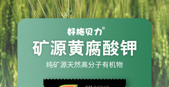 �VԴ�S�����-��ʩؐ��-��ʩ��_01