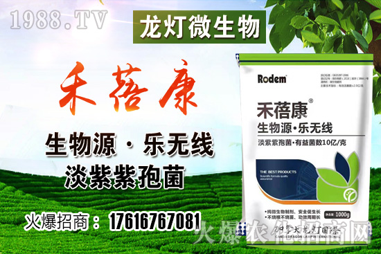西紅柿授粉方法是？西紅柿露天和大棚種植有何不同？